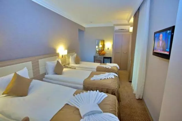 Fotos del hotel Laleli Emin:  21