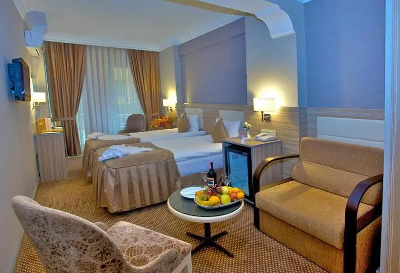 Fotos del hotel Laleli Emin:  8