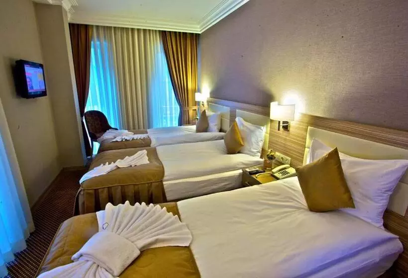 Fotos del hotel Laleli Emin:  10