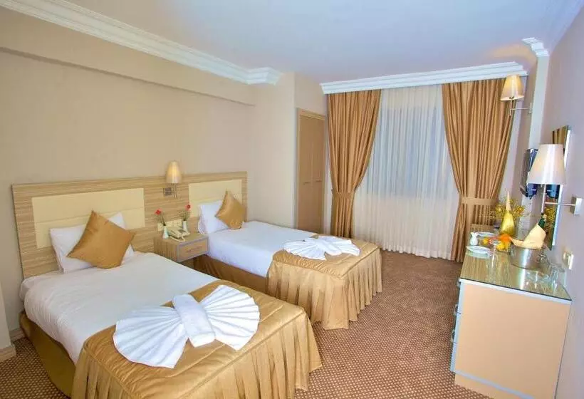 Fotos del hotel Laleli Emin:  15
