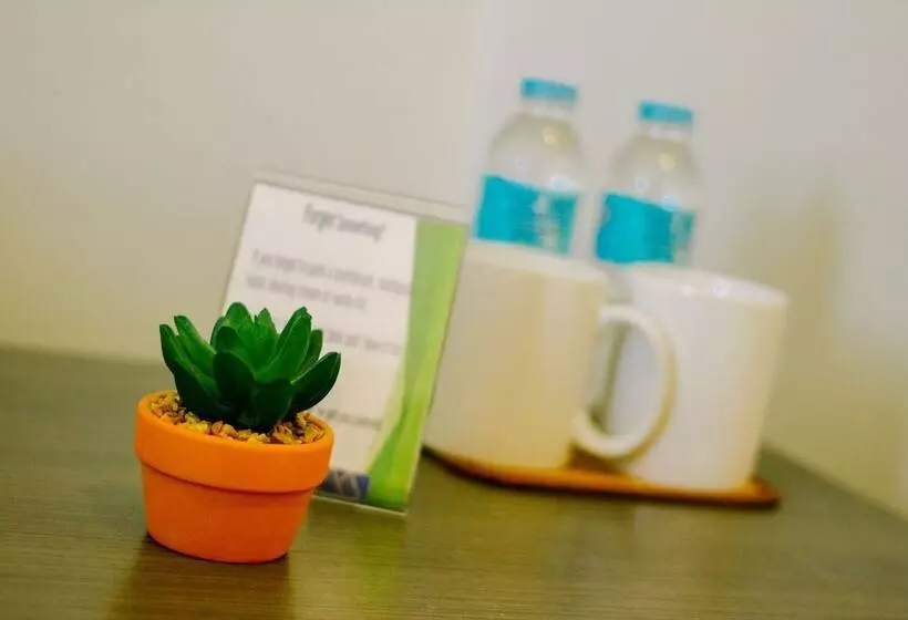 Fotos del hotel Mabolo Royal:  6
