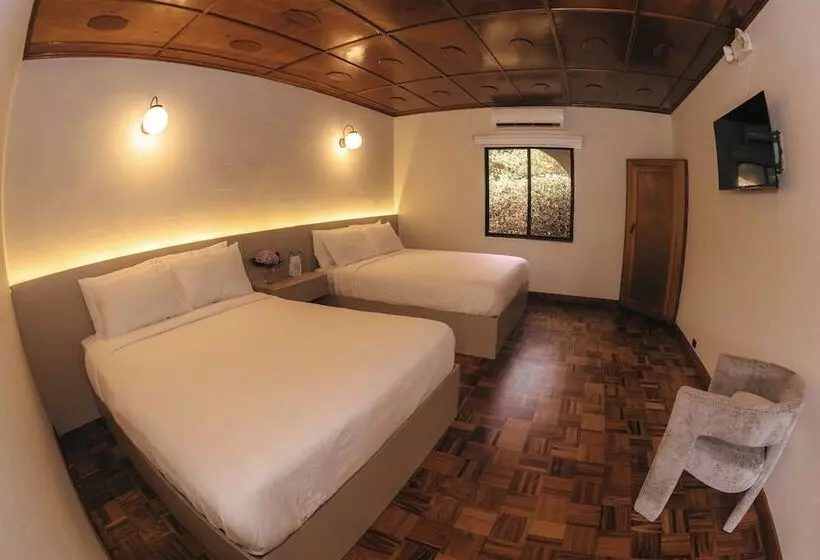 Fotos del hotel Rebequet:  9