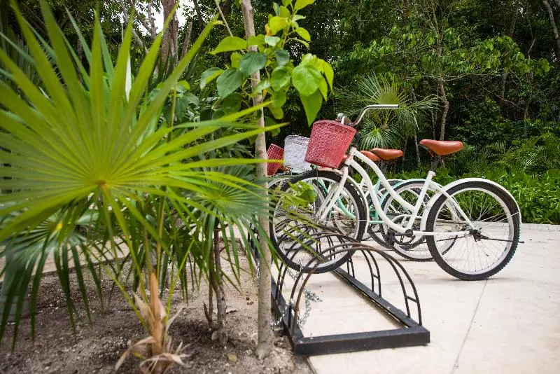 Fotos del hotel Naay Tulum Curamoria Collection:  8