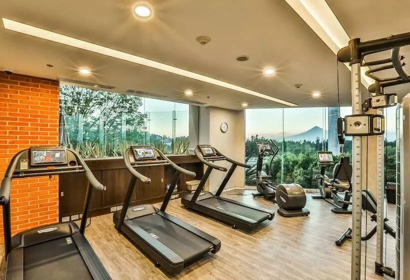 Fotos del hotel Four Points By Sheraton Puebla:  4