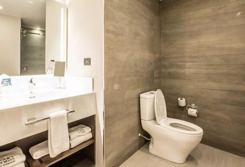 Fotos del hotel Four Points By Sheraton Puebla:  18