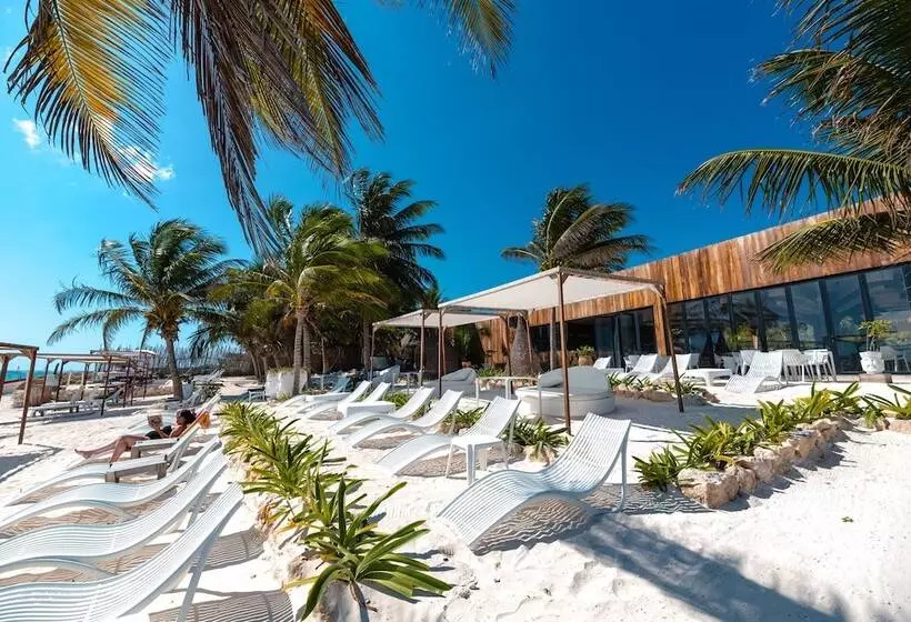 Fotos del hotel Kai Tulum:  25