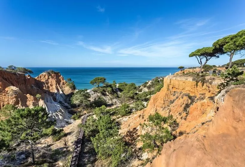 Fotos del hotel Pine Cliffs Gardens:  28