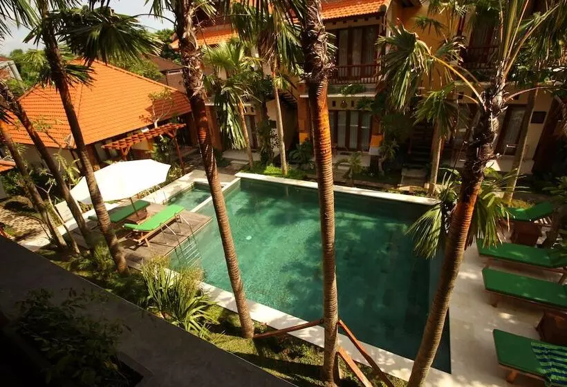 Fotos del hotel Mina Pelasa:  2