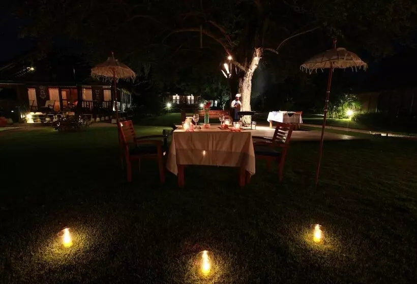 Fotos del hotel Samawa Seaside Cottages:  23