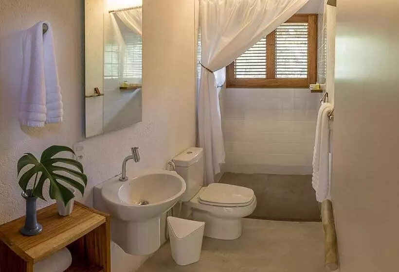 Fotos del hotel Casa Mar Paraty:  5