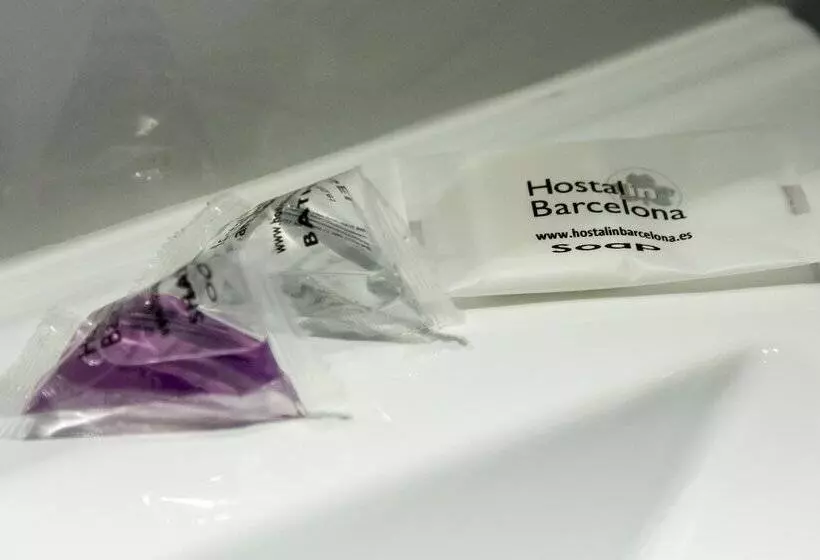 Fotos del hotel Hostalin Barcelona Passeig De Gràcia:  7