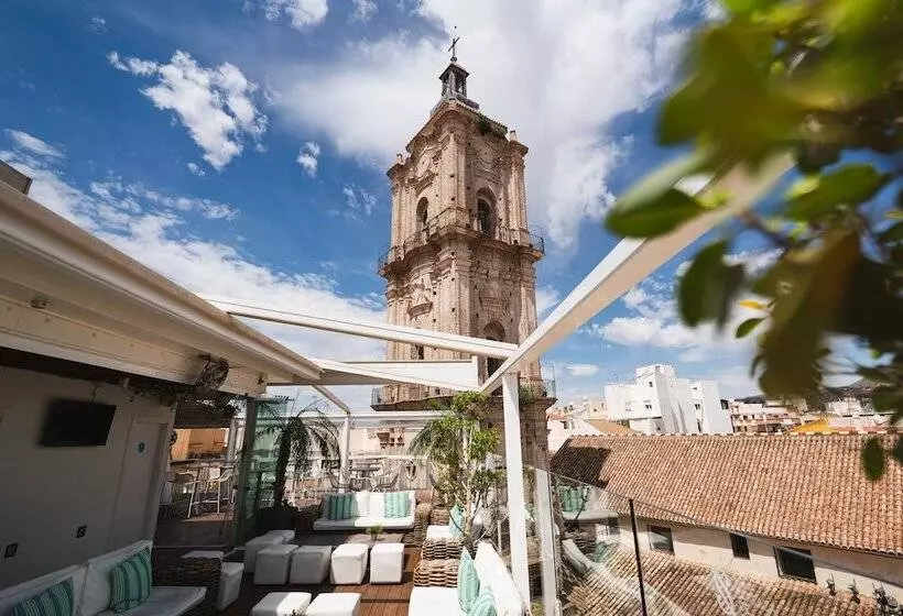 Fotos del hotel Malaga Premium:  21