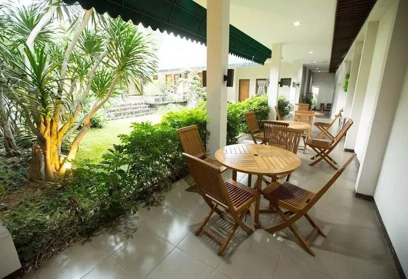 Fotos del hotel Marciella:  6