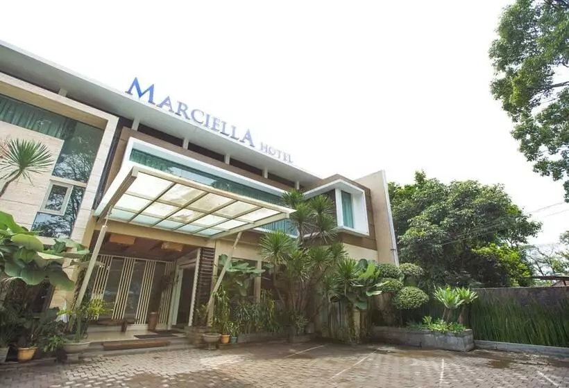 Marciella