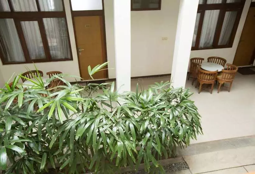 Fotos del hotel Marciella:  15