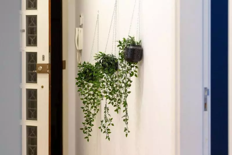Fotos del hotel Feel Porto Downtown Townhouses:  18