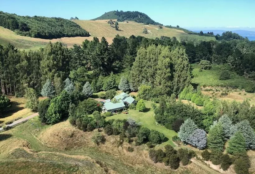 Fotos del hotel Whakaipo Lodge:  5