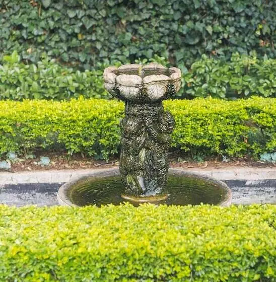 Fotos del hotel Osborne House  Guest House:  14