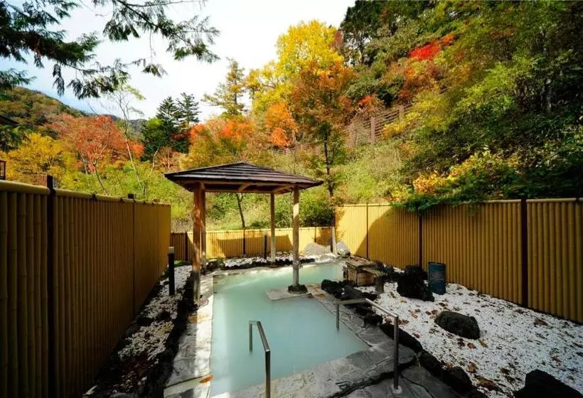 Fotos del hotel Yumoto Itaya:  12