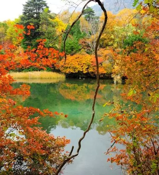 Fotos del hotel Yumoto Itaya:  18