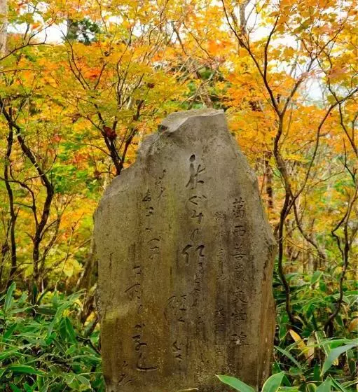 Fotos del hotel Yumoto Itaya:  11