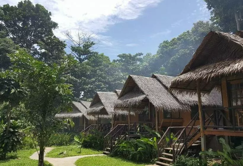 Fotos del hotel Jungle Garden:  16