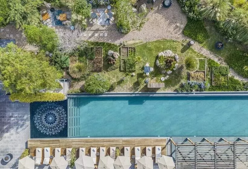 Live Aqua San Miguel De Allende Urban Resort