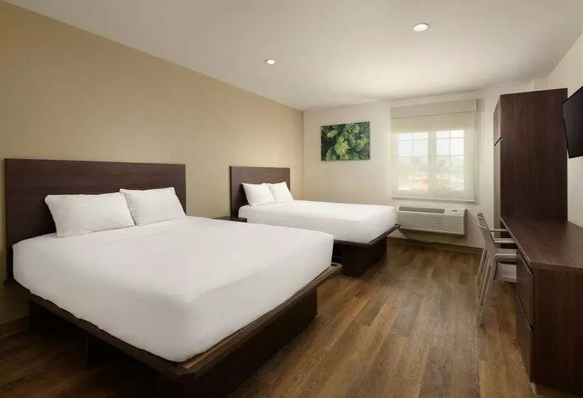 Fotos del hotel Extended Suites Saltillo Galerías:  24
