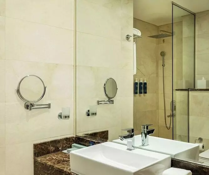 Fotos del hotel Occidental Dubai Production City:  43
