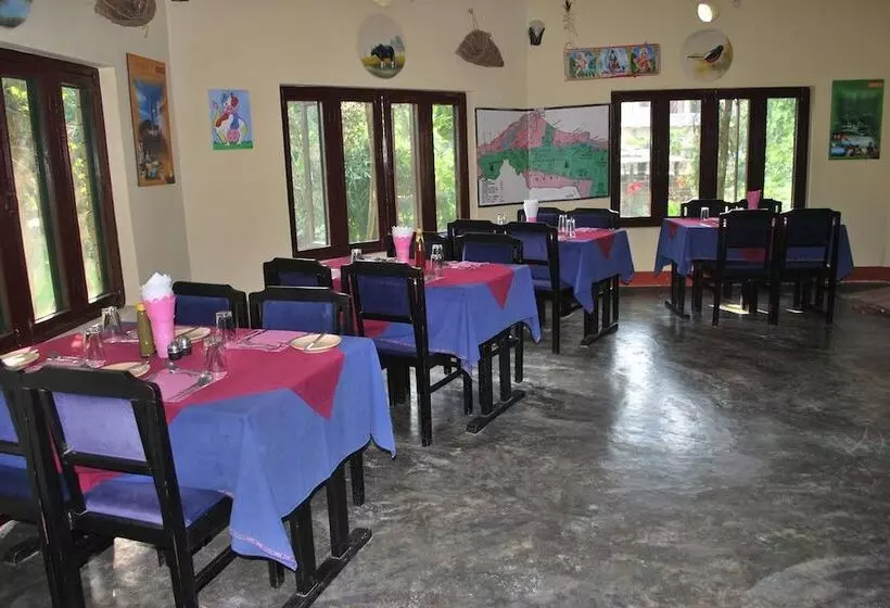 Fotos del hotel Traveller Jungle Camp:  14