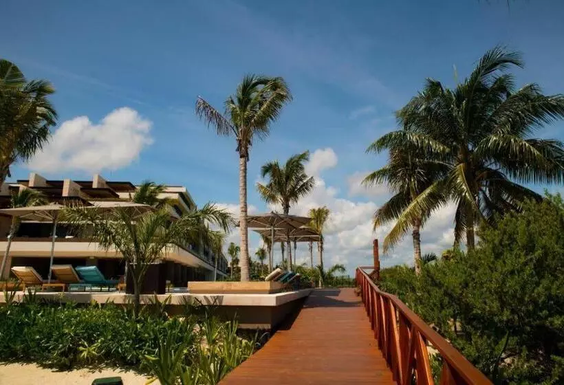 Fotos del hotel Estudio Playa Mujeres:  17