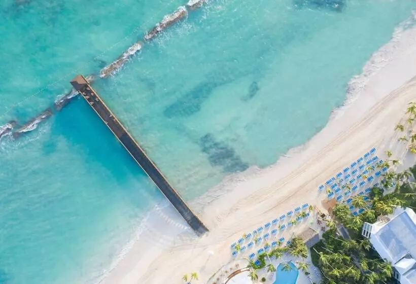 Fotos del hotel Impressive Premium Punta Cana:  22