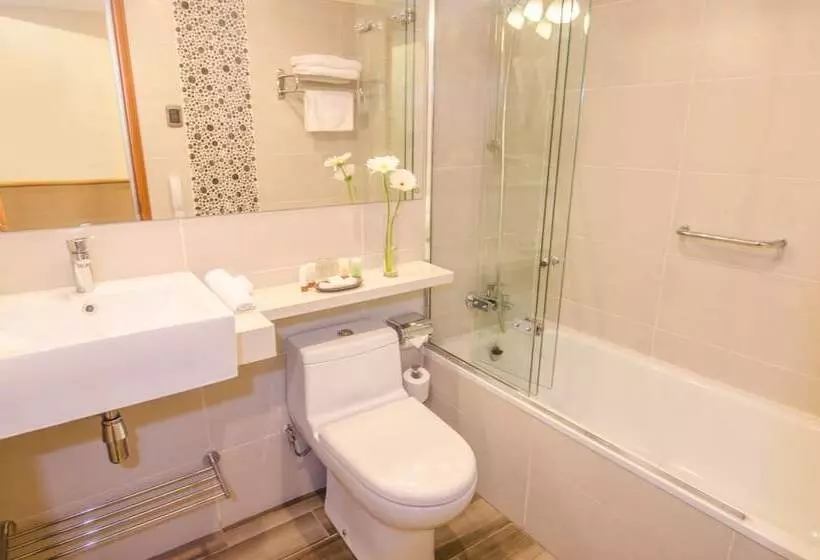Fotos del hotel Ankara:  6