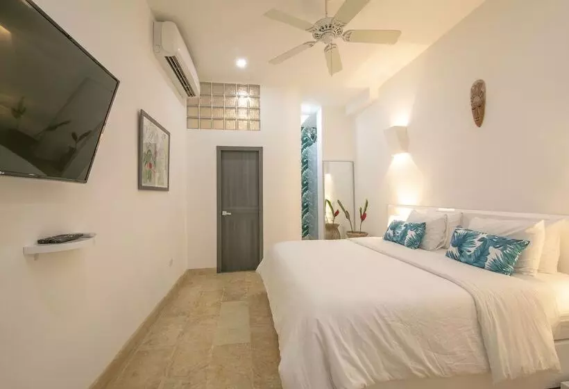 Fotos del hotel Suite Boutique El Cactus:  17