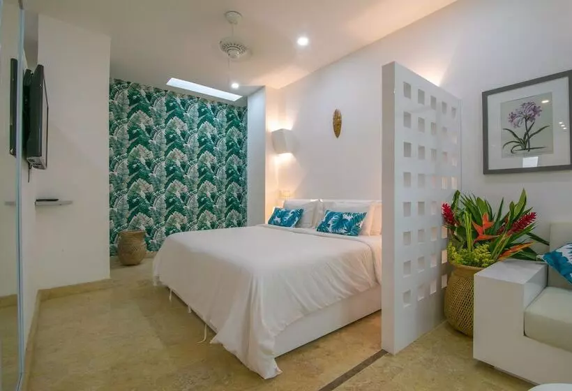 Fotos del hotel Suite Boutique El Cactus:  9