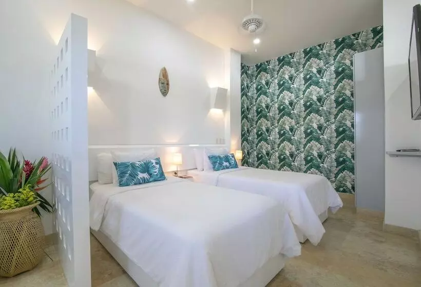 Suite Boutique El Cactus