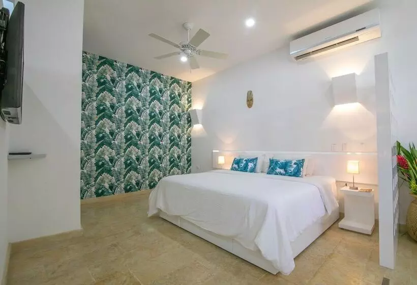 Fotos del hotel Suite Boutique El Cactus:  13