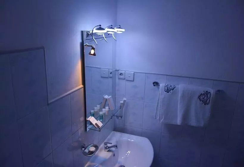 Fotos del hotel Asian Grand:  17