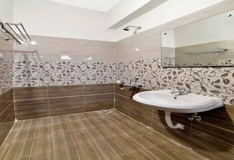 Fotos del hotel Oyo 11317 Amar Estates:  18