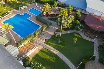 Pato Amarillo - Punta Umbria