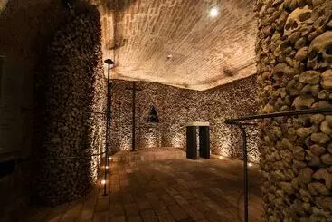 International Brno - Brno