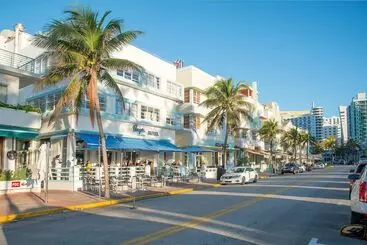 Penguin - Miami Beach