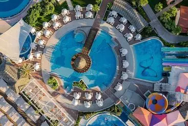 Papillon Belvil - Belek