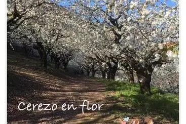 Apartamento Rural Fragaria - Casas del Monte