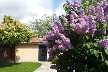 Casa Rural Las Tuyas En Segovia - Palazuelos de Eresma