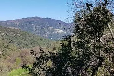 Molino De Santos - Benarraba