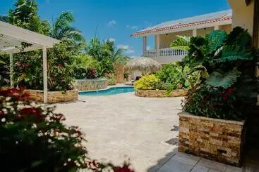 Modern 1 Bedroom Apartment 2 Km From Eagle Beach - Palm Beach