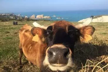 Posada La Morena - Soto de la Marina
