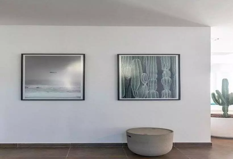 Fotos del hotel Ferrer Concord:  44