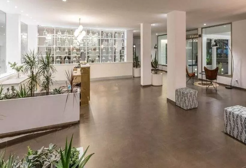 Fotos del hotel Ferrer Concord:  21